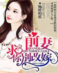 前妻,求你别改嫁
