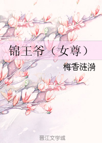 锦王爷(女尊)