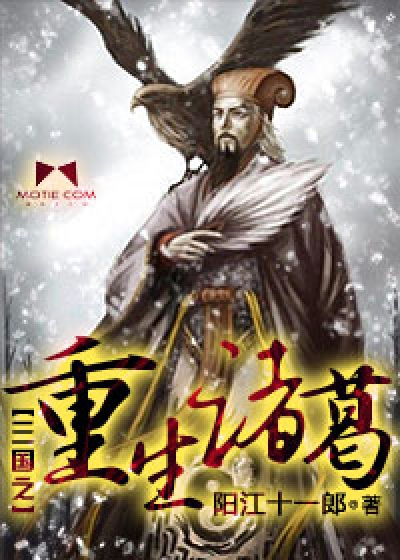 三国之重生诸葛