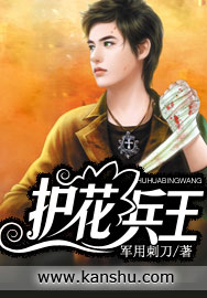 护花兵王