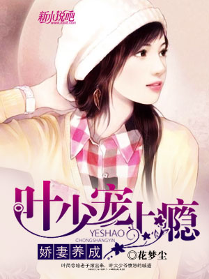 娇妻养成:叶少宠上瘾