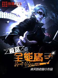 极品全能高手
