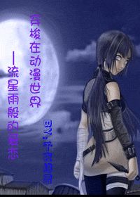 [网王.火影.死神.猎人]穿梭在动漫世界——流星雨般的爱恋
