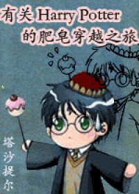 有关 Harry Potter 的肥皂穿越之旅