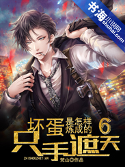 坏蛋是怎样炼成的6：只手遮天