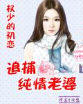 权少的初恋:追捕纯情老婆