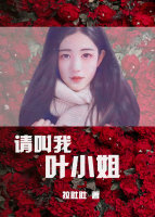 请叫我叶小姐