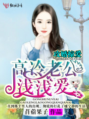 攻婚掠爱,高冷老公浅浅爱